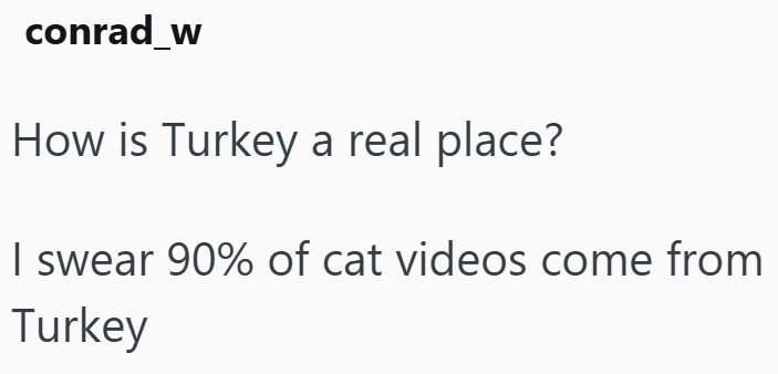 conrad_w How is Turkey a real place? I swear 90% of cat videos come from Turkey