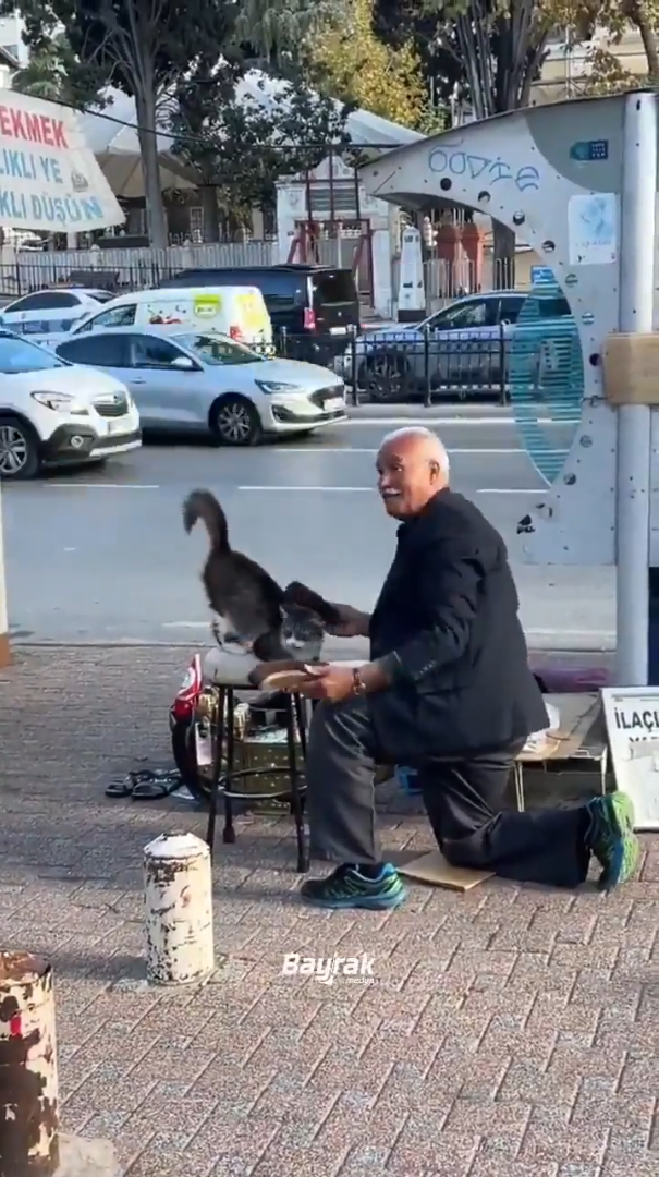 EKMEK IKLI YE KLI DUSUN Bayrak İLACI 13
