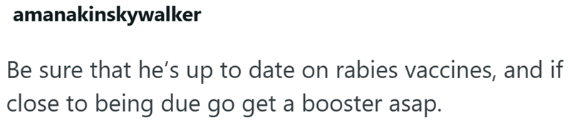 amanakinskywalker Be sure that he's up to date on rabies vaccines, and if close to being due go get a booster asap.