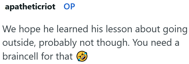 apatheticriot OP We hope he learned his lesson about going outside, probably not though. You need a braincell for that