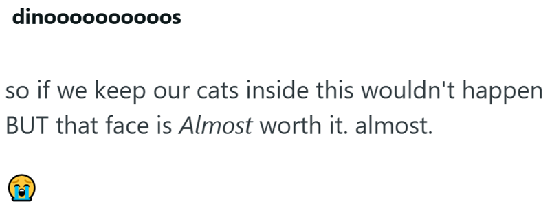 dinoooooooooos so if we keep our cats inside this wouldn't happen BUT that face is Almost worth it. almost.
