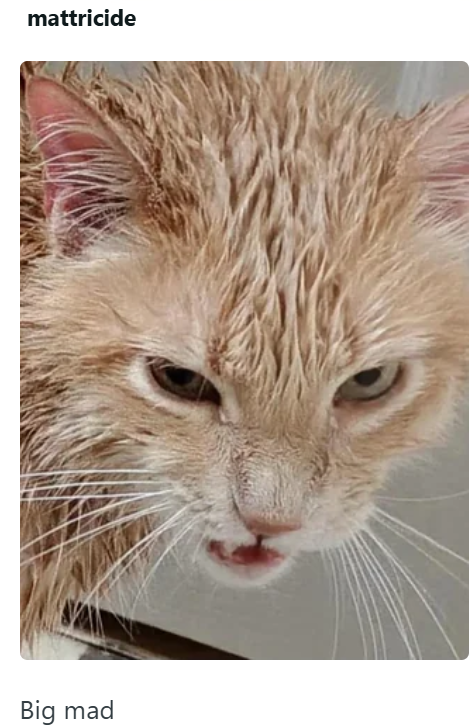 mattricide Big mad