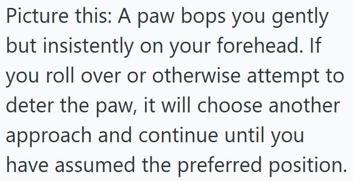 Picture this: A paw bops you gently but insistently on your forehead. If you roll over or otherwise attempt to deter the paw, it will choose another approach and continue until you have assumed the preferred position.