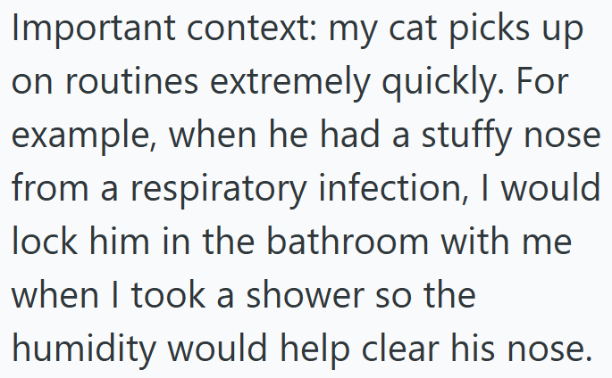 Important context: my cat picks up on routines extremely quickly. For example, when he had a stuffy nose from a respiratory infection, I would lock him in the bathroom with me when I took a shower so the humidity would help clear his nose.