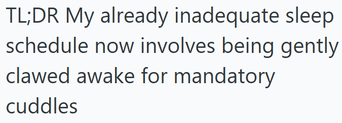 TL;DR My already inadequate sleep schedule now involves being gently clawed awake for mandatory cuddles