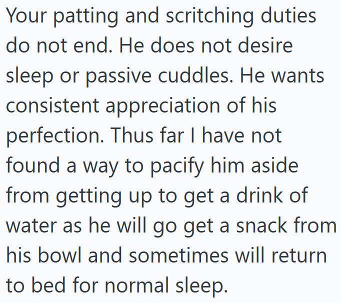 Your patting and scritching duties do not end. He does not desire sleep or passive cuddles. He wants consistent appreciation of his perfection. Thus far I have not found a way to pacify him aside from getting up to get a drink of water as he will go get a snack from his bowl and sometimes will return to bed for normal sleep.