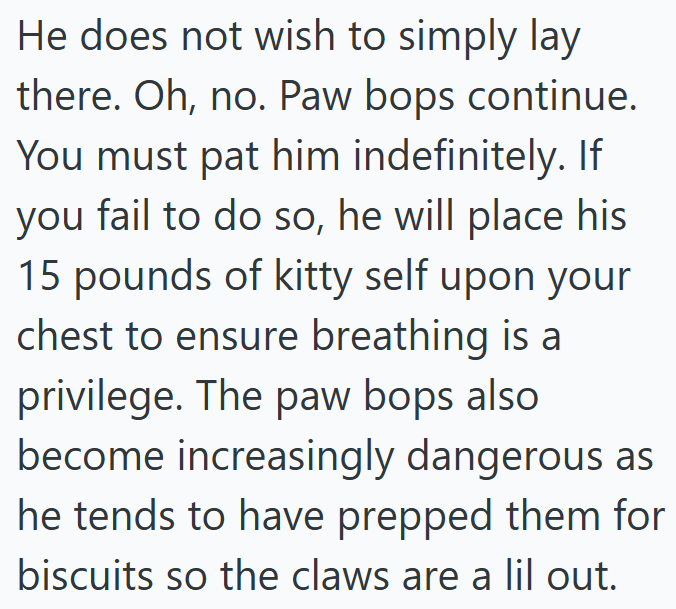 He does not wish to simply lay there. Oh, no. Paw bops continue. You must pat him indefinitely. If you fail to do so, he will place his 15 pounds of kitty self upon your chest to ensure breathing is a privilege. The paw bops also become increasingly dangerous as he tends to have prepped them for biscuits so the claws are a lil out.