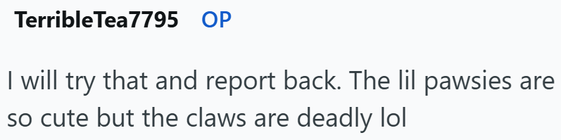 Terrible Tea7795 OP I will try that and report back. The lil pawsies are so cute but the claws are deadly lol