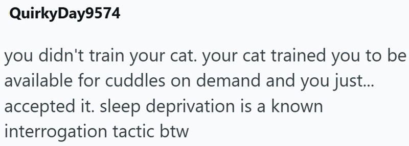 QuirkyDay9574 you didn't train your cat. your cat trained you to be available for cuddles on demand and you just... accepted it. sleep deprivation is a known interrogation tactic btw