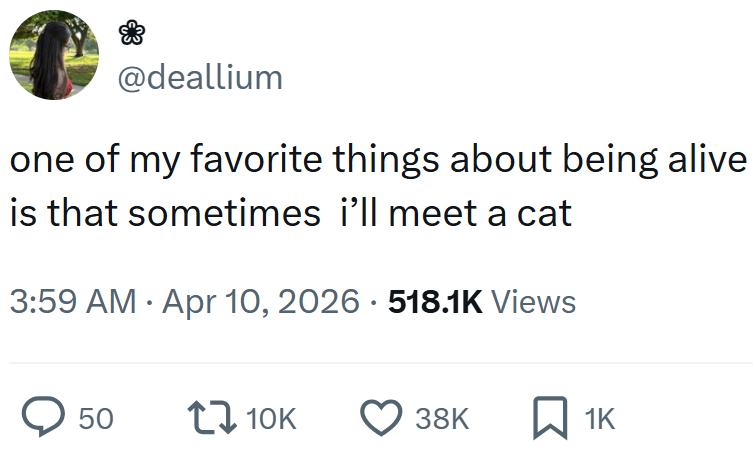 @deallium one of my favorite things about being alive is that sometimes i'll meet a cat . 3:59 AM Apr 10, 2026 518.1K Views . 50 10K 38K ☐ 1K
