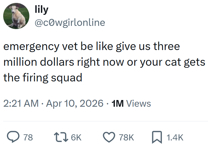 lily @cowgirlonline emergency vet be like give us three million dollars right now or your cat gets the firing squad 2:21 AM Apr 10, 2026 1M Views ◇ 78 176K 78K 1.4K