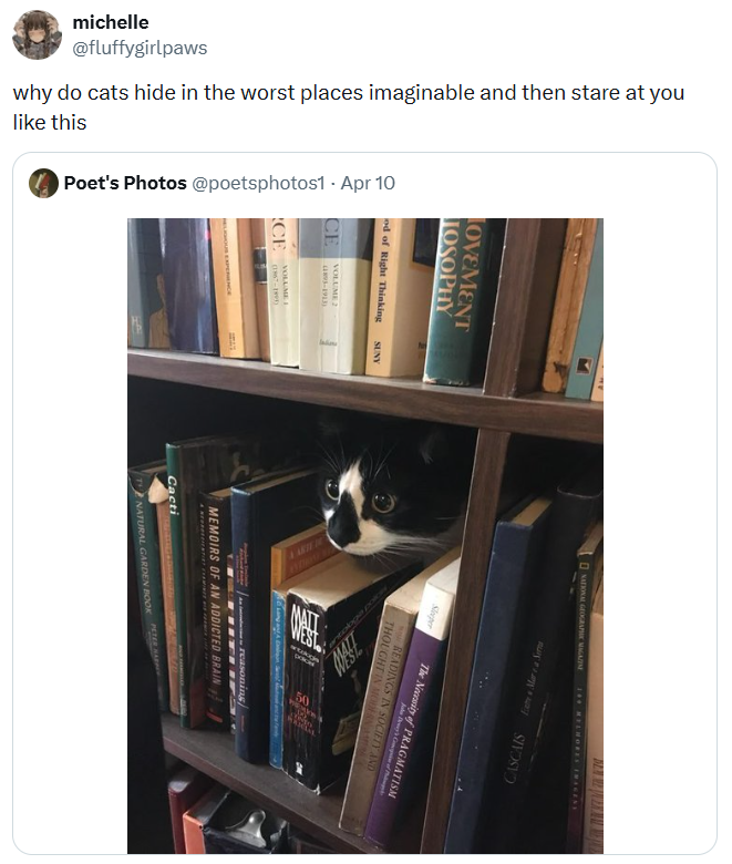 OVEMENT LOSOPHY michelle @fluffygirlpaws why do cats hide in the worst places imaginable and then stare at you like this Poet's Photos @poetsphotos1 - Apr 10 od of Right Thinking CE VOLUME 2 (1895-1913) CE VOLUME I (1867-1991) SUNY NATIONAL GEOGRAPHIC MAGAZINE 100 MELHORES IMAGENE Buy & SIVOSVO Sleeper The Necessity of PRAGMATISM John Dewey's Corks of Phleb READINGS IN SOCIETY AND THOUGHT IN MODERNAM antoboa reasoning MEMOIRS OF AN ADDICTED BRAIN Cacti PETER HARY TNATURAL GARDEN BOOK 50