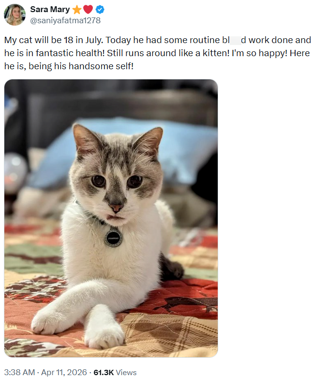 Sara Mary @saniyafatma1278 My cat will be 18 in July. Today he had some routine bl d work done and he is in fantastic health! Still runs around like a kitten! I'm so happy! Here he is, being his handsome self! 3:38 AM - Apr 11, 2026 - 61.3K Views