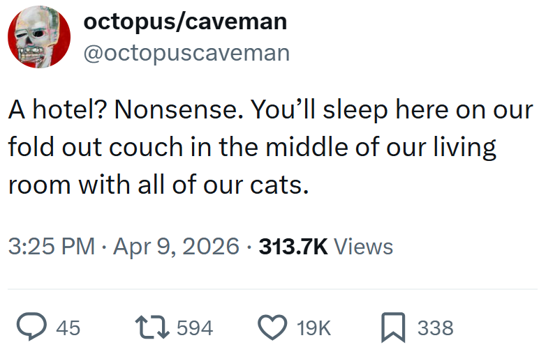 octopus/caveman @octopuscaveman A hotel? Nonsense. You'll sleep here on our fold out couch in the middle of our living room with all of our cats. • 3:25 PM Apr 9, 2026 - 313.7K Views > 45 17594 19K ☐ 338