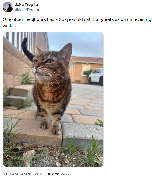 Jake Tropila @JakeTropila One of our neighbors has a 20-year old cat that greets us on our evening walk 5:09 AM - Apr 10, 2026 -102.3K Views