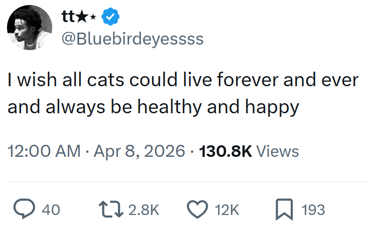 tt★⭑ @Bluebirdeyessss I wish all cats could live forever and ever and always be healthy and happy . • 12:00 AM - Apr 8, 2026 130.8K Views 40 12.8K 12K ☐ 193