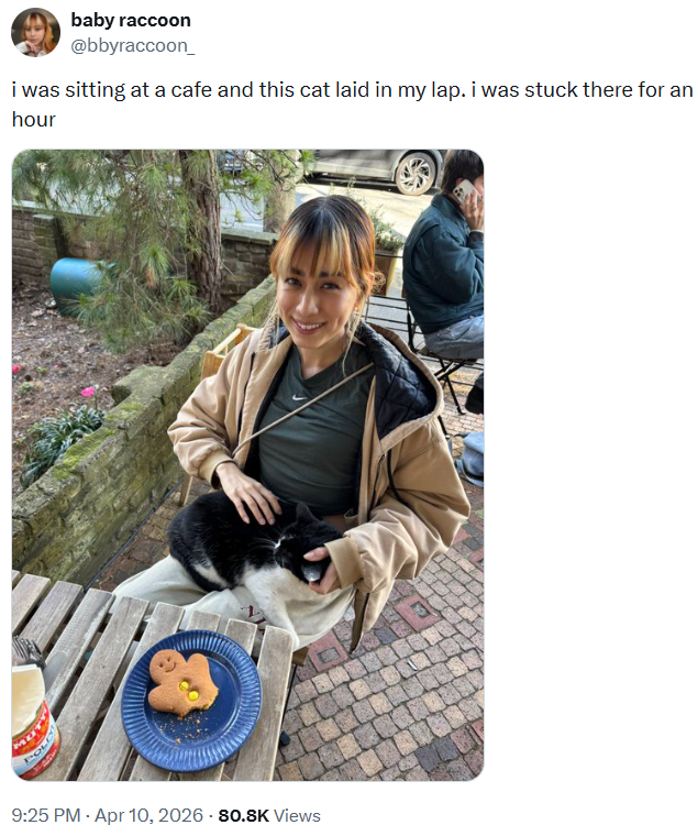 POL baby raccoon @bbyraccoon_ i was sitting at a cafe and this cat laid in my lap. i was stuck there for an hour 9:25 PM - Apr 10, 2026 - 80.SK Views