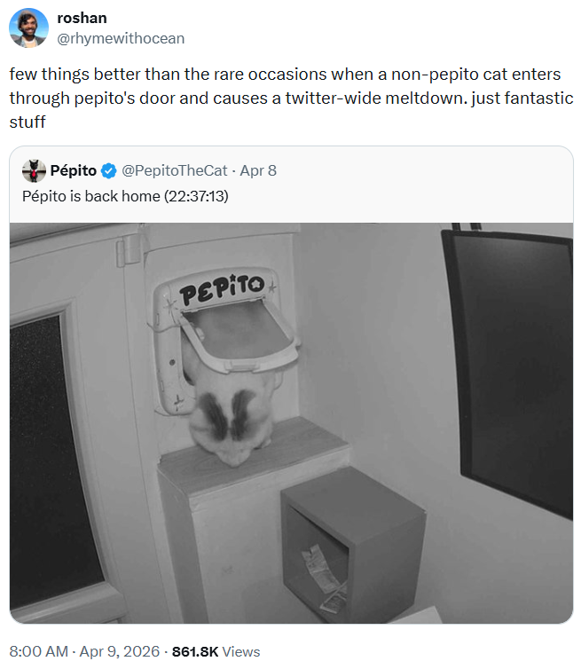 roshan @rhymewithocean few things better than the rare occasions when a non-pepito cat enters through pepito's door and causes a twitter-wide meltdown. just fantastic stuff Pépito @PepitoTheCat - Apr 8 Pépito is back home (22:37:13) PEPITO 8:00 AM - Apr 9, 2026 - 861.8K Views