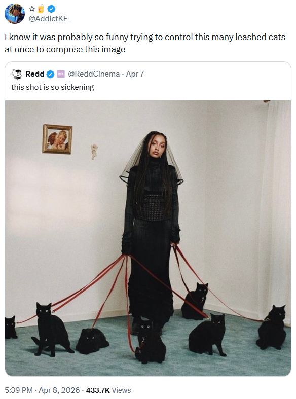 @AddictKE I know it was probably so funny trying to control this many leashed cats at once to compose this image Redd @ReddCinema - Apr 7 this shot is so sickening 5:39 PM - Apr 8, 2026 - 433.7K Views
