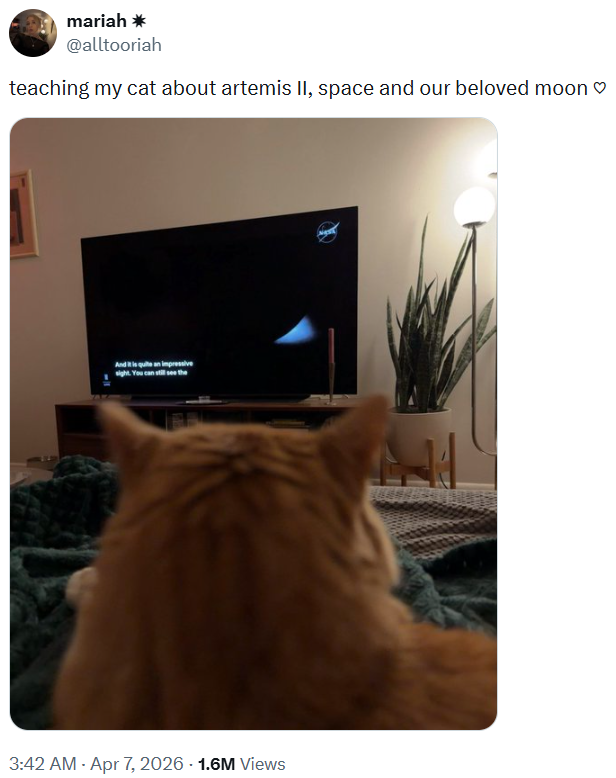 mariah ✶ @alltooriah teaching my cat about artemis II, space and our beloved moon ♡ And it is quite an impressive sight. You can still see the 3:42 AM - Apr 7, 2026 -1.6M Views