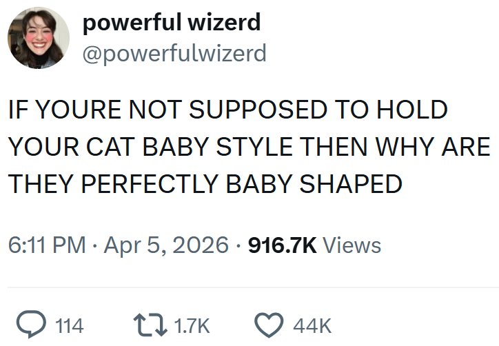 powerful wizerd @powerfulwizerd IF YOURE NOT SUPPOSED TO HOLD YOUR CAT BABY STYLE THEN WHY ARE THEY PERFECTLY BABY SHAPED 6:11 PM Apr 5, 2026 916.7K Views → 114 1.7K 44K