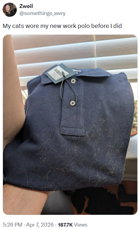 Zweil @somethings_awry My cats wore my new work polo before I did 5:26 PM - Apr 7, 2026 - 187.7K Views