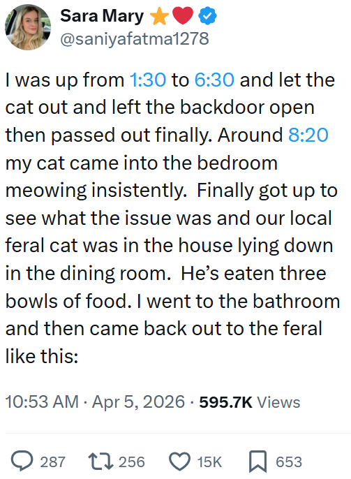 Sara Mary @saniyafatma1278 I was up from 1:30 to 6:30 and let the cat out and left the backdoor open then passed out finally. Around 8:20 my cat came into the bedroom meowing insistently. Finally got up to see what the issue was and our local feral cat was in the house lying down in the dining room. He's eaten three bowls of food. I went to the bathroom and then came back out to the feral like this: 10:53 AM - Apr 5, 2026 - 595.7K Views 287 256 15K ☐ 653