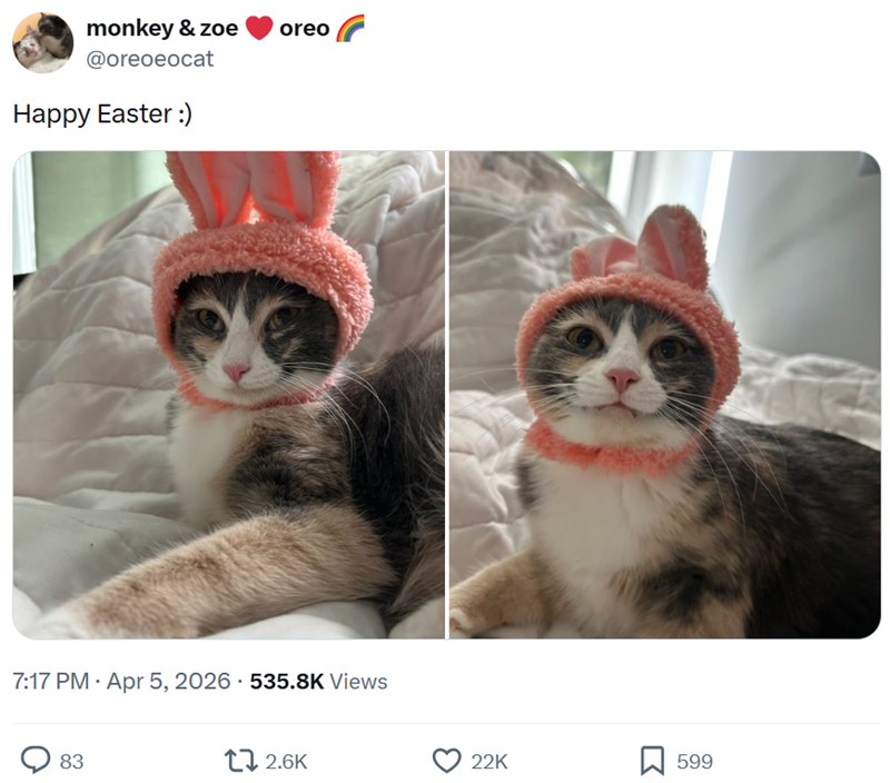 monkey & zoe @oreoeocat Happy Easter :) oreo 7:17 PM - Apr 5, 2026 535.8K Views 83 12.6K 22K 599