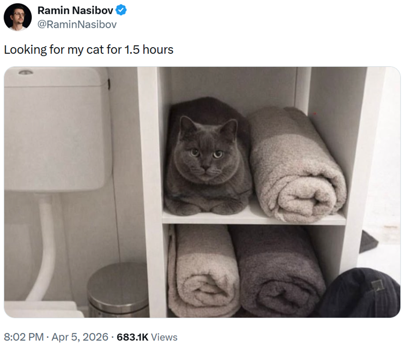 Ramin Nasibov @Ramin Nasibov Looking for my cat for 1.5 hours 8:02 PM - Apr 5, 2026 - 683.1K Views