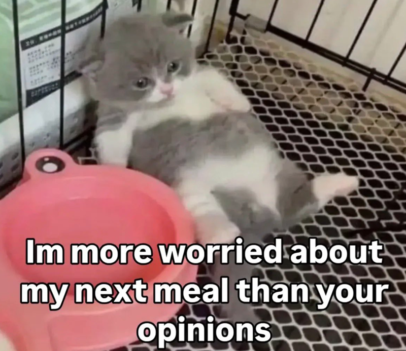 Im more worried about my next meal than your opinions
