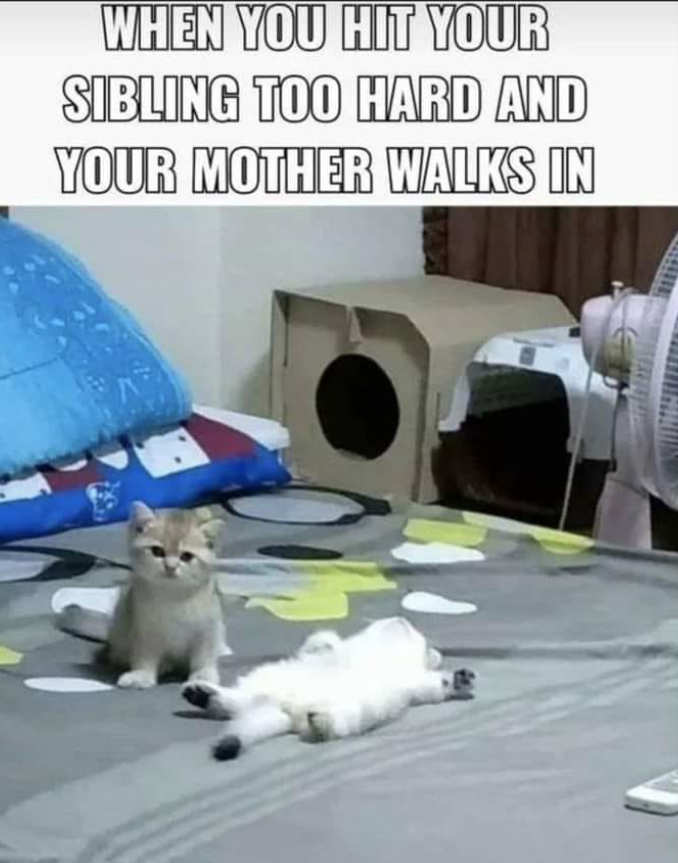 WHEN YOU HIT YOUR SIBLING TOO HARD AND YOUR MOTHER WALKS IN