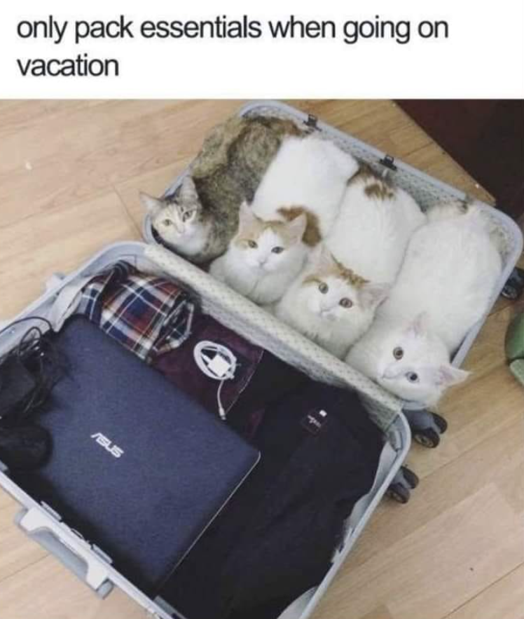only pack essentials when going on vacation ASUS