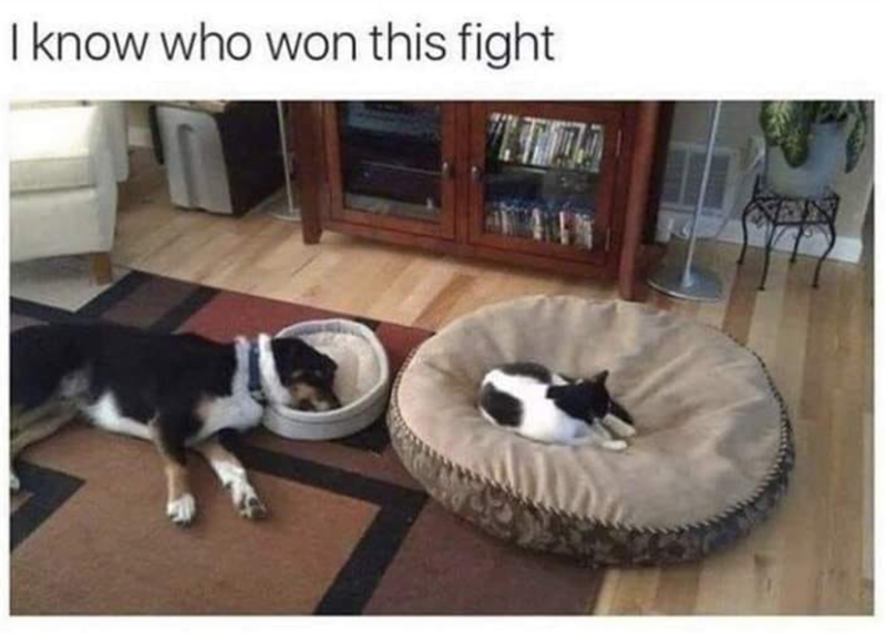I know who won this fight