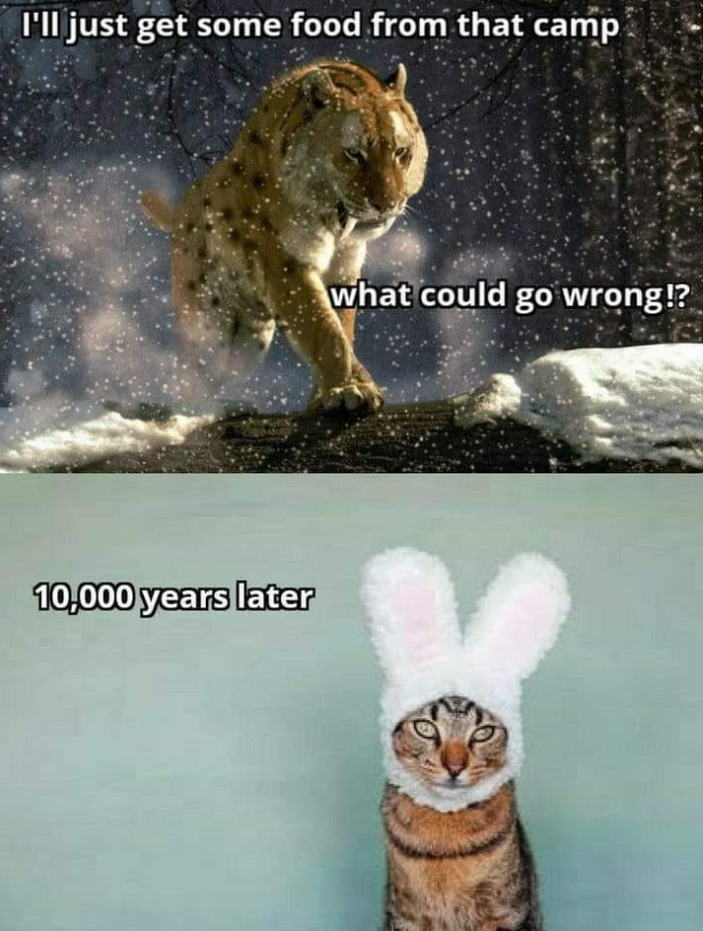 I'll just get some food from that camp 10,000 years later what could go wrong!?