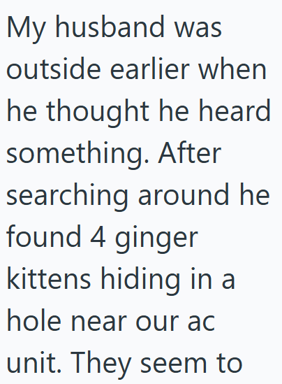 My husband was outside earlier when he thought he heard something. After searching around he found 4 ginger kittens hiding in a hole near our ac unit. They seem to