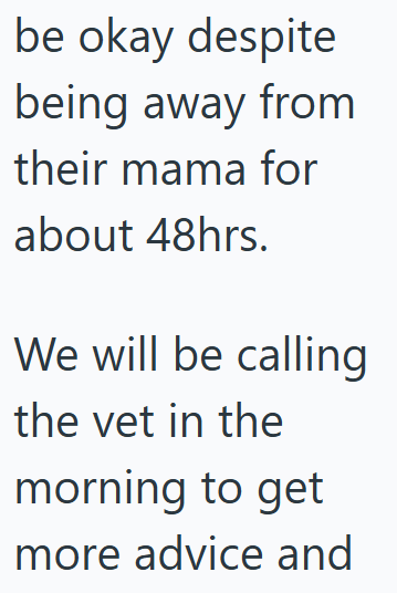 be okay despite being away from their mama for about 48hrs. We will be calling the vet in the morning to get more advice and