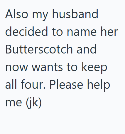Also my husband decided to name her Butterscotch and now wants to keep all four. Please help me (jk)