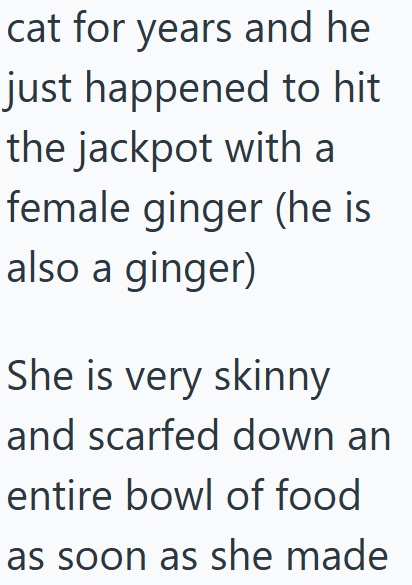 cat for years and he just happened to hit the jackpot with a female ginger (he is also a ginger) She is very skinny and scarfed down an entire bowl of food as soon as she made