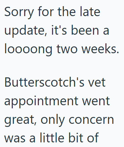 Sorry for the late update, it's been a loooong two weeks. Butterscotch's vet appointment went great, only concern was a little bit of