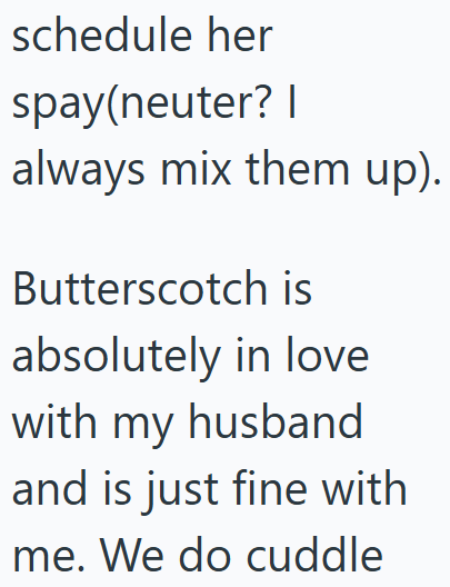 schedule her spay(neuter? | always mix them up). Butterscotch is absolutely in love with my husband and is just fine with me. We do cuddle