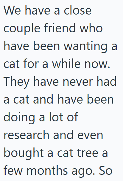 We have a close couple friend who have been wanting a cat for a while now. They have never had a cat and have been doing a lot of research and even bought a cat tree a few months ago. So