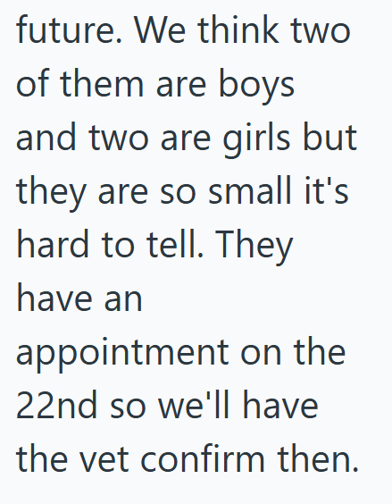 future. We think two of them are boys and two are girls but they are so small it's hard to tell. They have an appointment on the 22nd so we'll have the vet confirm then.