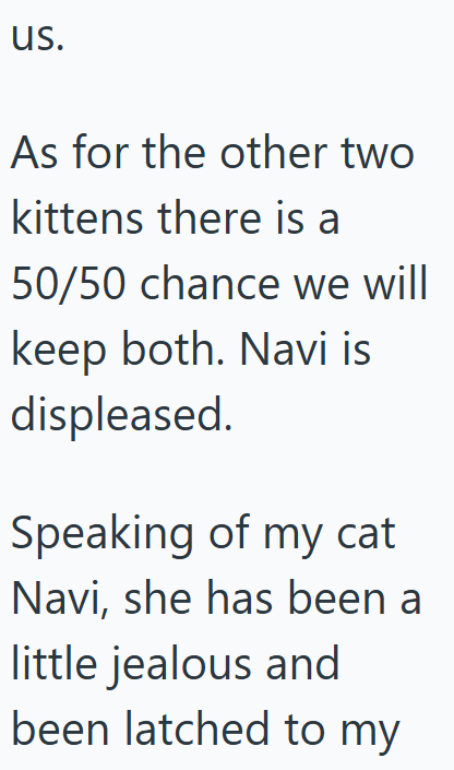 us. As for the other two kittens there is a 50/50 chance we will keep both. Navi is displeased. Speaking of my cat Navi, she has been a little jealous and been latched to my