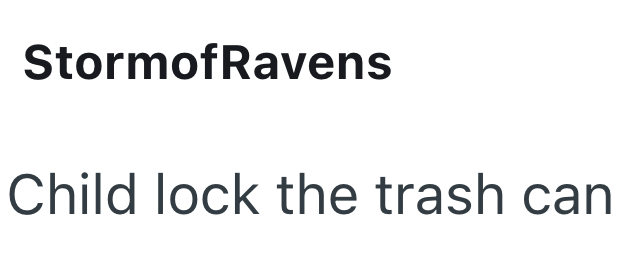 StormofRavens Child lock the trash can