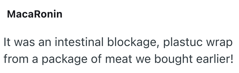 MacaRonin It was an intestinal blockage, plastuc wrap from a package of meat we bought earlier!