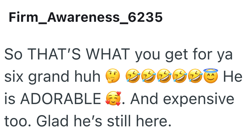 Firm Awareness_6235 SO THAT'S WHAT you get for ya six grand huh 090300 He . And expensive is ADORABLE too. Glad he's still here.