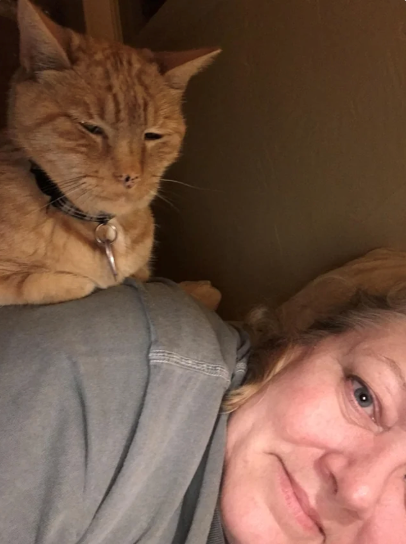 Cheezburger Image 10623592192