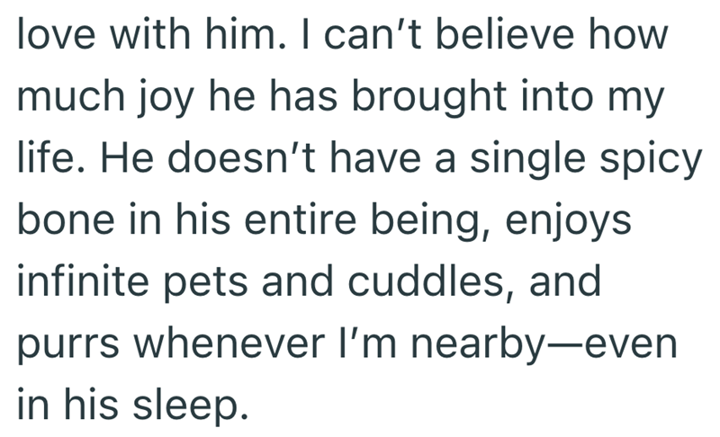 love with him. I can't believe how much joy he has brought into my life. He doesn't have a single spicy bone in his entire being, enjoys infinite pets and cuddles, and purrs whenever I'm nearby-even in his sleep.