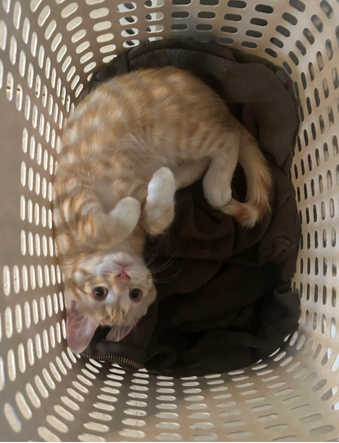 000 0000000 00000 0000000 www 0000 000000000 000000 000000 000000 00000000 000000 0000 0000000