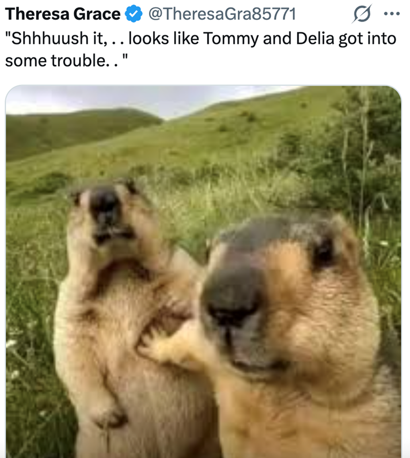 Theresa Grace @Theresa Gra85771 "Shhhuush it, . . looks like Tommy and Delia got into some trouble.."